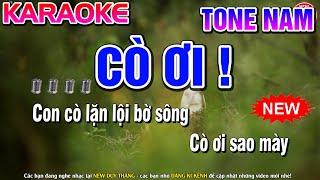 Cò Ơi Karaoke ( Gia Huy ) Tone Nam - New Duy Thắng