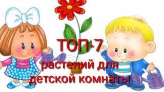 7 наиболее подходящих комнатных растений,для детской комнаты!