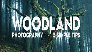 5 WOODLAND PHOTOGRAPHY TIPS I wish I knew earlier