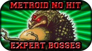 Terraria Metroid ModAll Bosses No HitExpert Mode