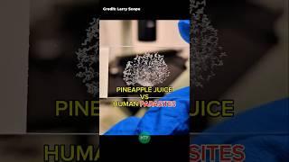 Pineapple Juice vs. Parasitic Worms – You Won’t Believe This! 
