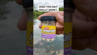 Fishing With Berkley Bait, Will It Work? #fishing #baitfishing #shorts #fishingvideo #bluegill