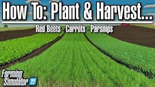 How To Plant & Harvest - Carrots, Parsnips, & Red Beets | Farming Simulator 22