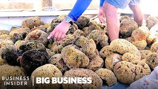 How This Florida Town Became The Sea Sponge Capital Of The World | Big Business | Business Insider