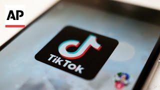 States sue TikTok for harming children's mental health