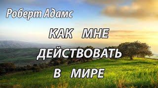 Как мне действовать в мире (Роберт Адамс, НикОшо)