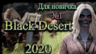 Гайд для новичка №1 в Black Desert 2020