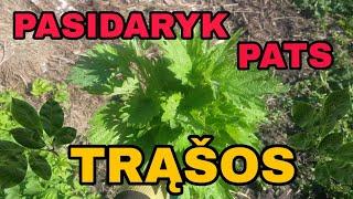 Natūralios trąšos| Pasidaryk pats