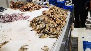 Cleanest Fish Market in the world - Dubai fish market