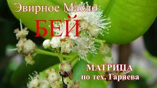 Эфирное масло БЕЙМатрица ГаряеваBay essential oilHealing Matrix of Peter Garyaev