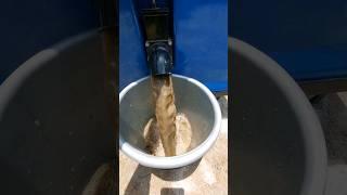 Flood Damaged Dirty Carpet CleaningSatisfying Rug Cleaning ASMR - SatisfyingVideo, ASMR Cleaning