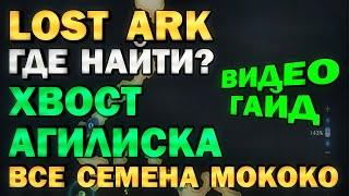 LOST ARK - ГДЕ НАЙТИ? ВСЕ СЕМЕНА МОКОКО - ВИДЕО-ГАЙД - ХВОСТ АГИЛИСКА (Артемис)