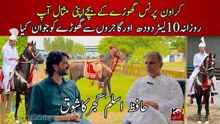 What Makes Crown Prince the MOST Attractive Horse in Punjab? Hafiz Aslam's Horses Farm Tour