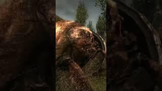 Fleshpig Spiderpig a Go Go