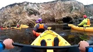 Central Coast Kayak Cave Excursion Tour: Lots of Seaweed