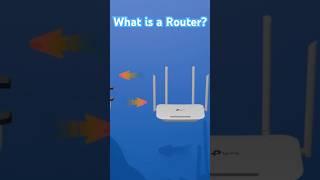 What is a Router? The key to internet connection explained! #routerexplained #techbasics #networking