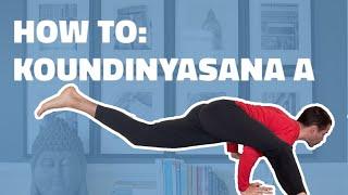 Koundinyasana A Tutorial | Tate Englund Yoga