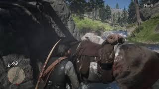 Red Dead Redemption 2 - Master Hunter Challenge 7 Guide