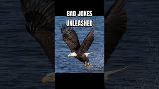 What do you get when you combine a kangaroo and a eagle? #badjokes #dadjokes #comedy #deadpanhumour