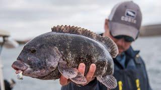 The Benefits of Spinning Tackle for Tautog Fishing