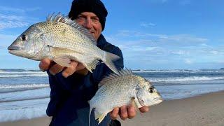 Beach Bream Fishing|Finding the Fish|Different BAITS you CAN use