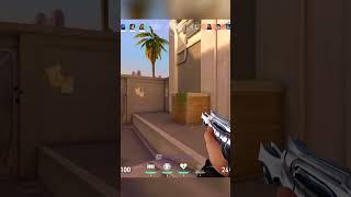 Radiant Sage Retake Tutorial 
