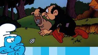 Gargamel The Generous • The Smurfs