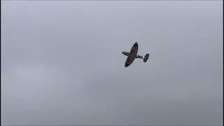 Spitfire DLE 35cc Phoenix models maiden flight