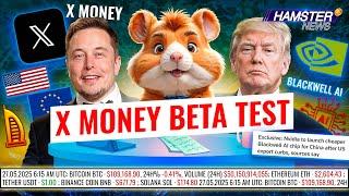 X Money payment app, AI chip for China, first licensed tokenized real estate ️ Hamster News