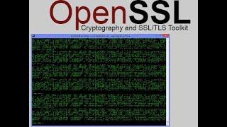 Build OpenSSL on Windows