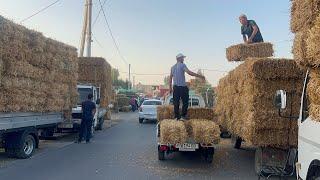 Hashak bozori bugungi narhlar bilan tarnishing 7.05.2025yil