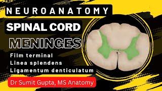 SPINAL CORD : Part-1 | Features | Meninges |