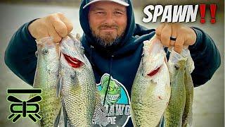 How to FIND CRAPPIE on ANY Lake during the CRAPPIE SPAWN