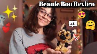 Beanie Boo Review (Spirit)