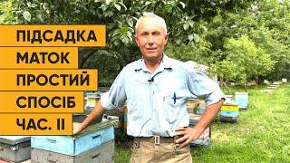 Метод підсадки бджоломаток від Єгошина частина ІІ