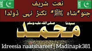 idreesia naat|Silsila idreesia Sheikh Amin Taleem and Naat|SilsilaIdrisiyya Muhammadiyya 381 Multan