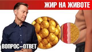 Как ускорить сжигание жира на животе? Самый эффективный способ!