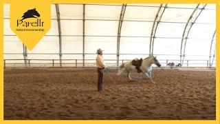 Train Your Horse to Circle with Pat Parelli