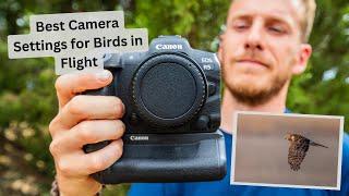 Best Autofocus Settings to Photograph Birds in Flight. How to get the Best Results with your Camera