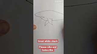Great White Shark | Easy Shark drawing | full video on my Channel