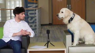 Confronting Roger the Babson Dog