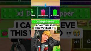 KreekCraft Gets Rainbow Dragon Pepper in Grow a Garden