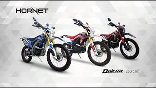 Hornet DAKAR 250