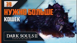 Прохождение Dark Souls 2: SotFS - #39 ЛУД И ЗАЛЛЕН, ПИТОМЦЫ КОРОЛЯ