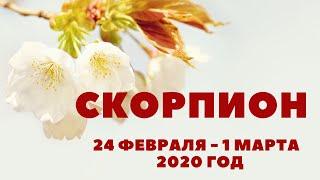 СКОРПИОН. ТАРО-ПРОГНОЗ С 24 ФЕВРАЛЯ-1 МАРТА 2020Г.