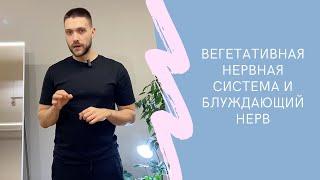 Проверьте блуждающий нерв и вегетативную нервную систему с помощью пульса. Тест nervus vagus