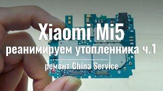 Утопленник Xiaomi Mi5 ч.1: качество сборки и советы мастера | China Service