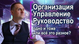 Организвция, управление и руководство  -в чем разница и как эти деятельности связаны между собой