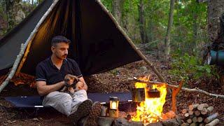 Bushcraft Camp In The Mountaıns Wıth My Wolf DOG - Asmr