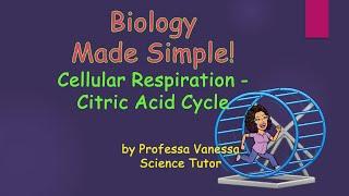 Biology Made Simple! Cellular Respiration - Citric Acid Cycle